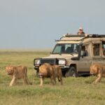 How-many-days-do-I-need-for-a-safari-in-Tanzania-e1703700579675