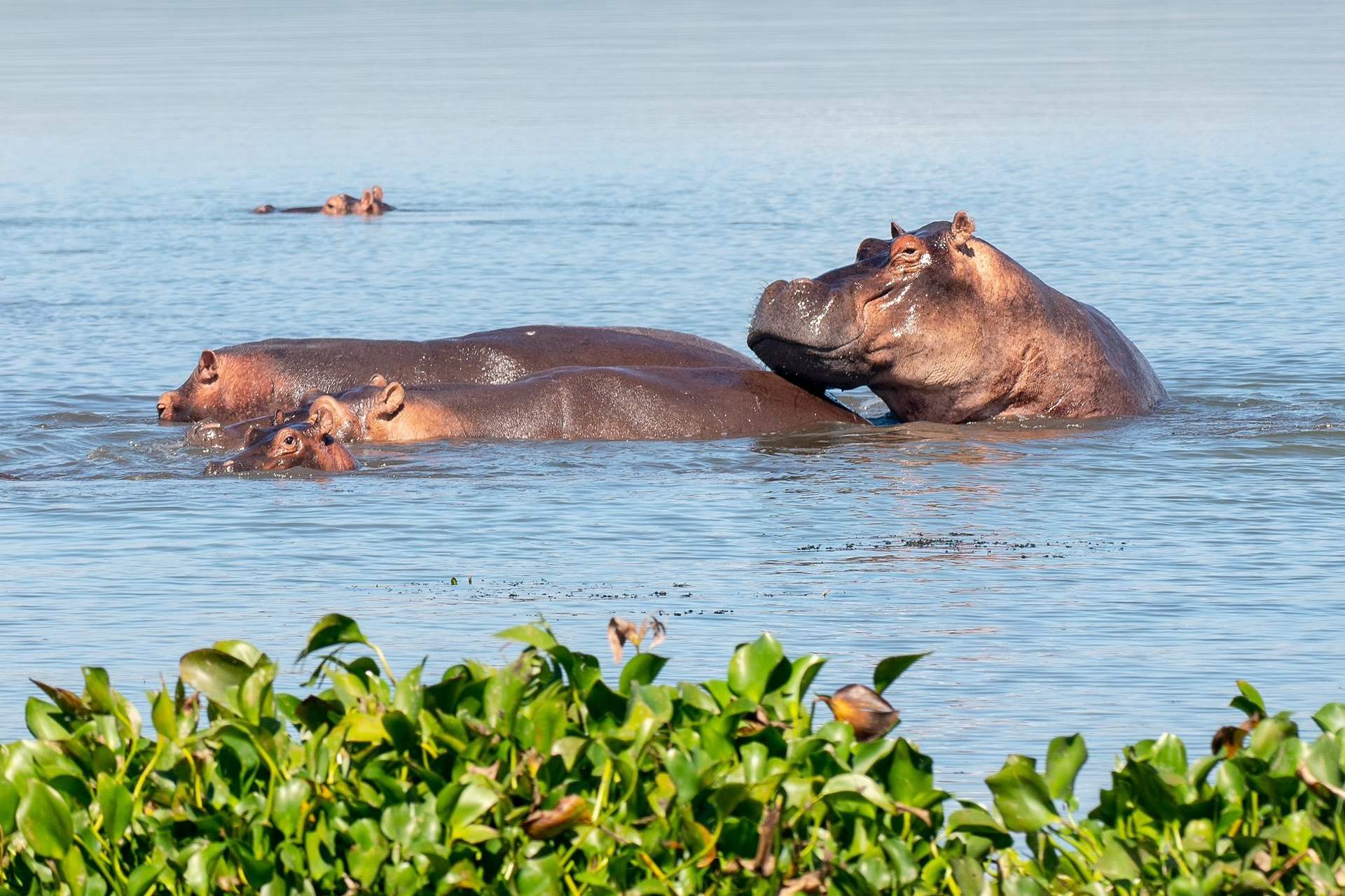 What to pack for Uganda Safari